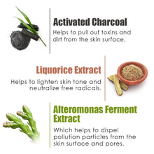 Load image into Gallery viewer, WOW Skin Science Activated Charcoal Face Mask with PM 2.5 Anti-Pollution Shield No Parabens & Mineral Oil Wash Off Face Mask - 200 ml