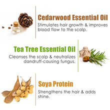 Load image into Gallery viewer, WOW Skin Science Anti Dandruff No Parabens & Sulphate Shampoo - 300 ml